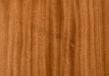 Veneer Door - Finishes